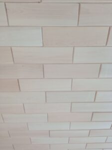 1x 1x80 1680064784293