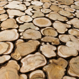 316654114869179.6043605ff1a0e