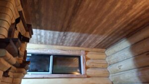 whatsapp image 2023 05 02 at 12.16.23 (9)