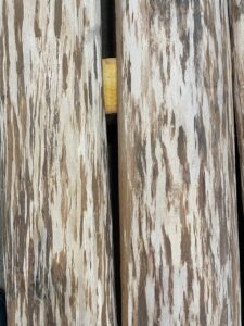 photo 2023 01 24 18 39 36