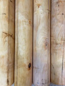 photo 2023 01 25 15 01 48